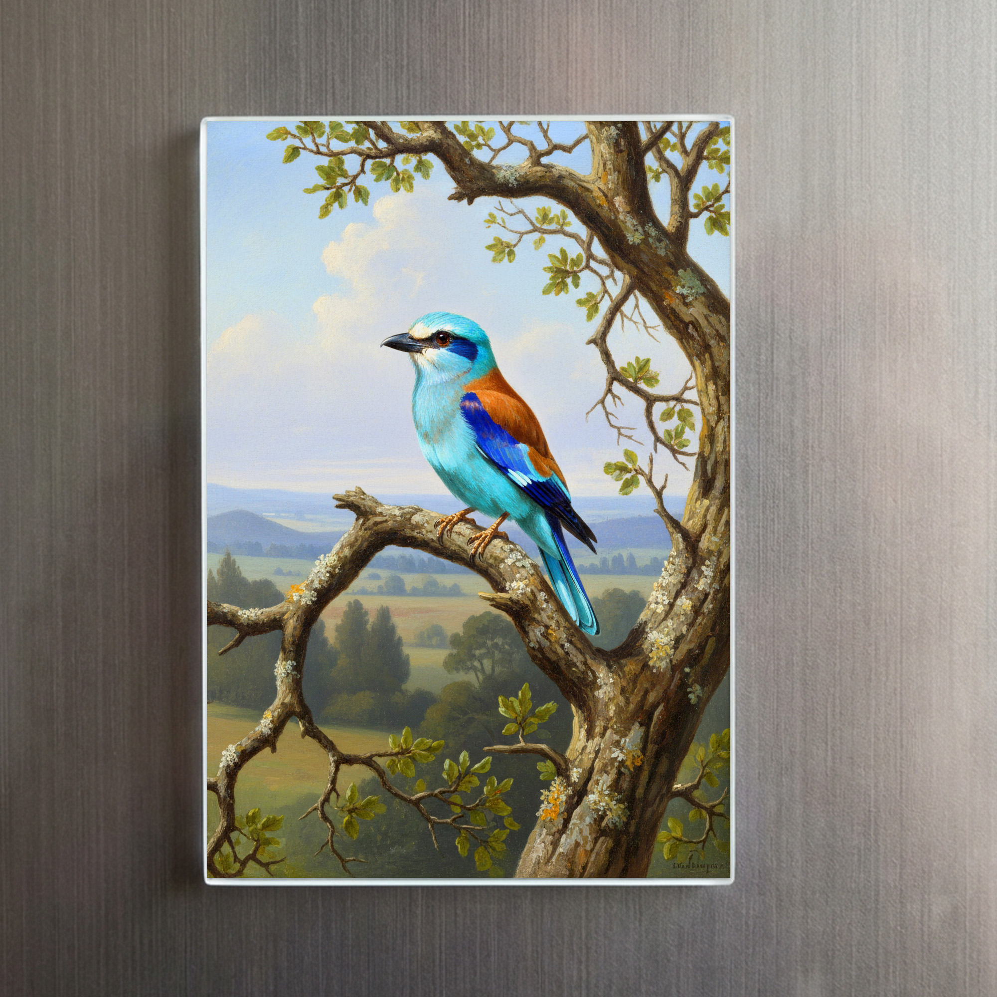 raxxa Glas-Magnet: Blauracke - europäischer Vogel – Bild 2