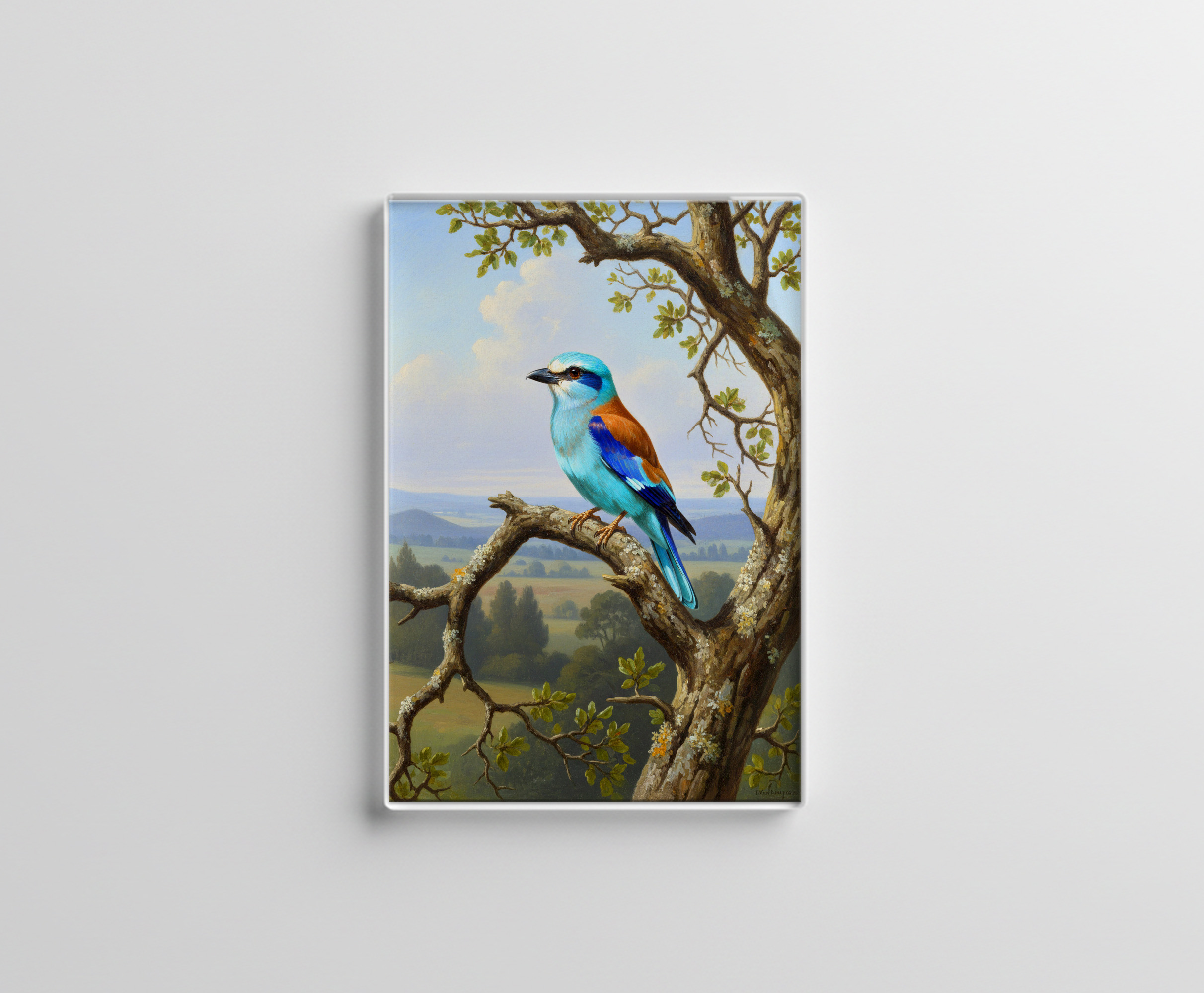 raxxa Glas-Magnet: Blauracke - europäischer Vogel
