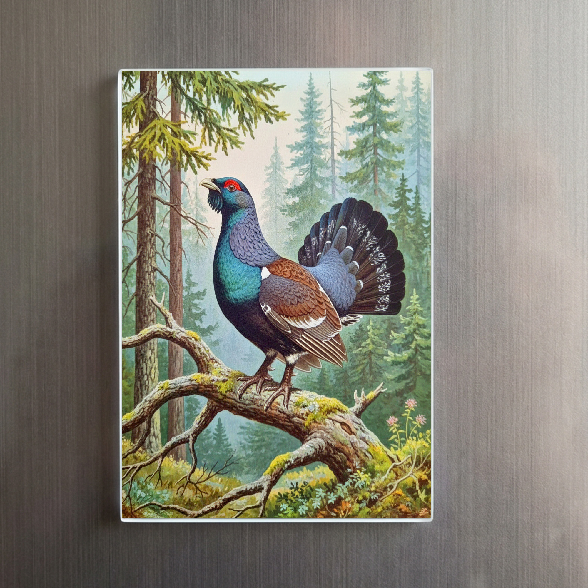 raxxa Glas-Magnet: Auerhahn - europäischer Vogel – Image 2