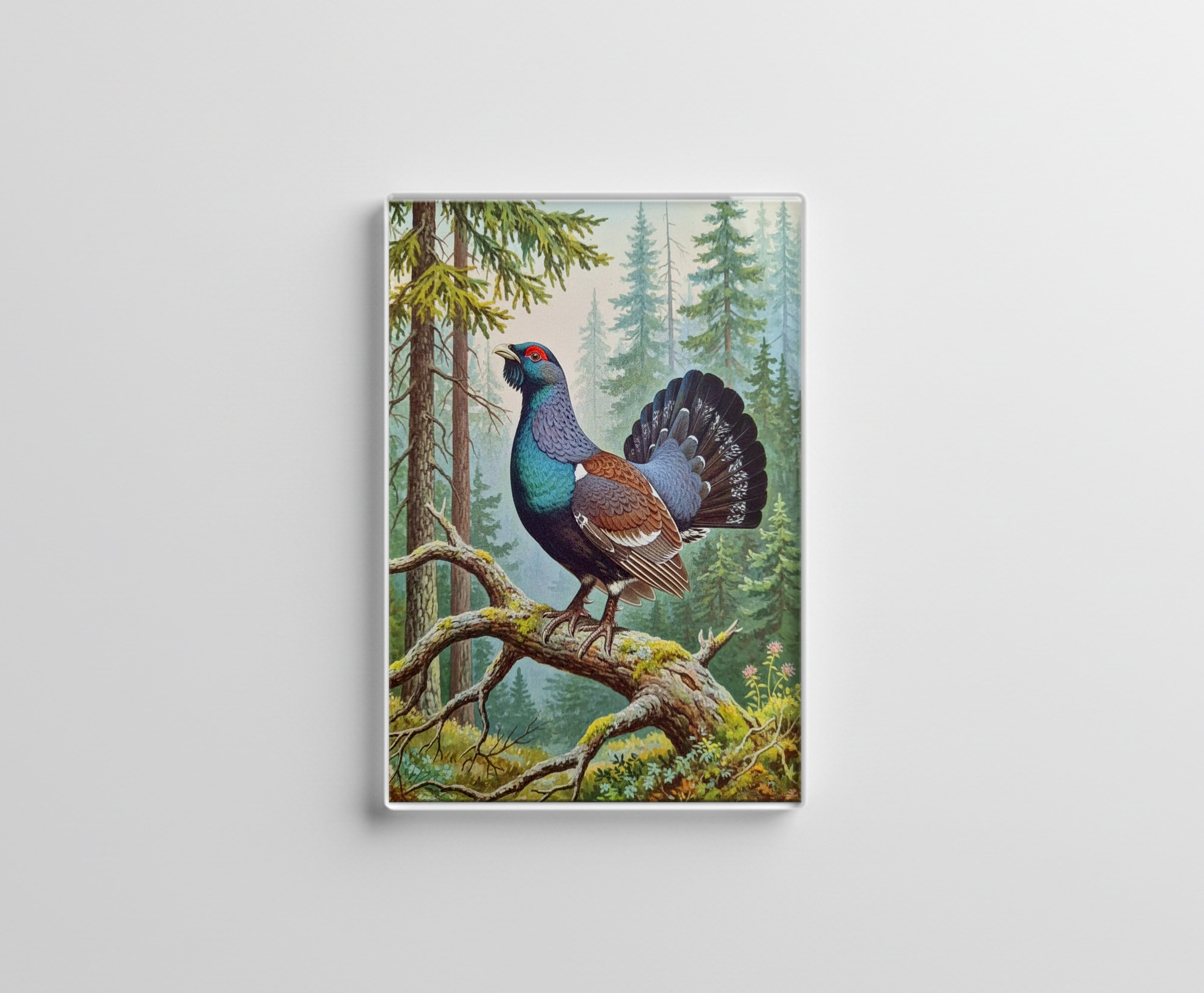 raxxa Glas-Magnet: Auerhahn - europäischer Vogel