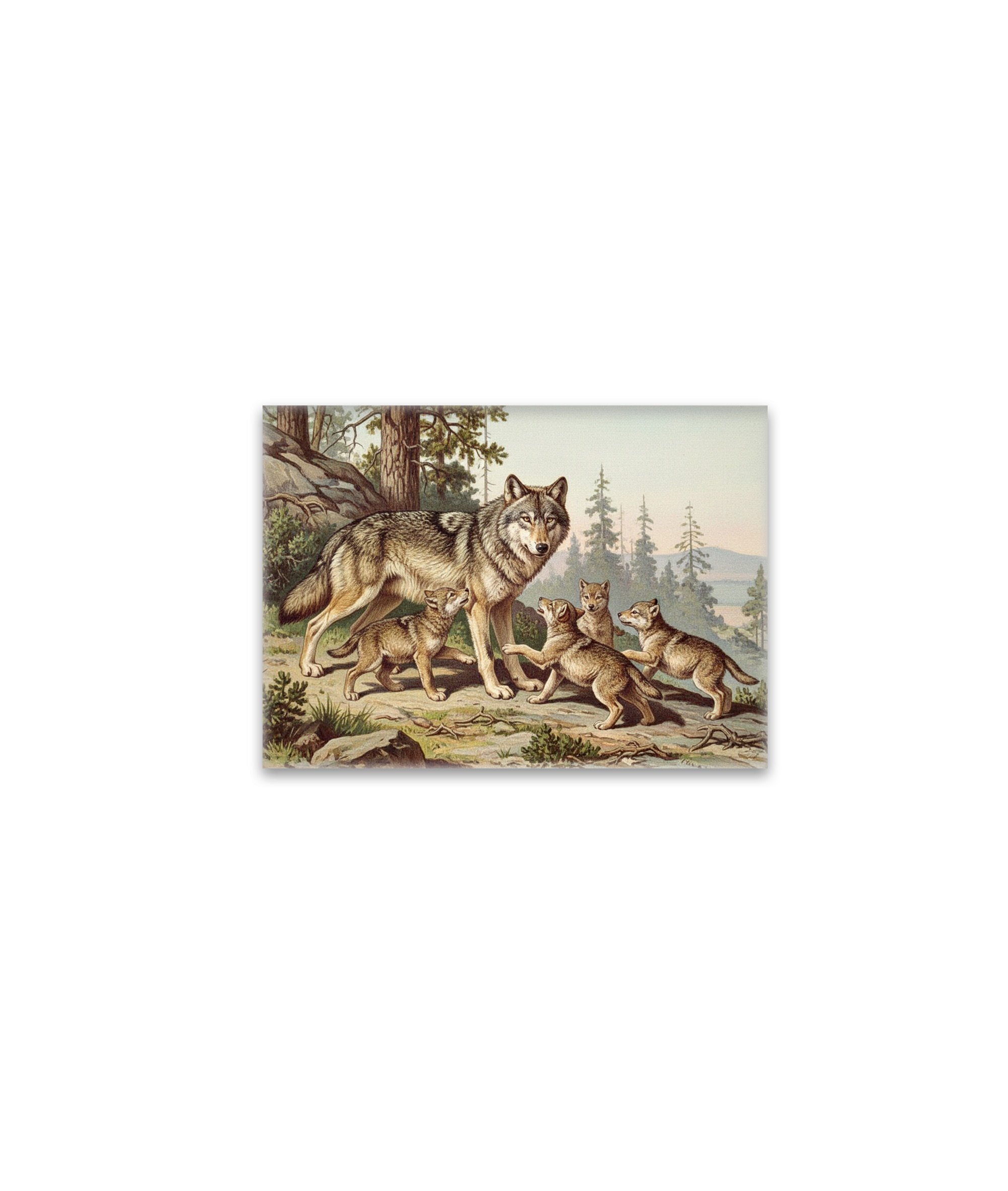 raxxa Glas-Magnet: Wolf mit Jungtieren