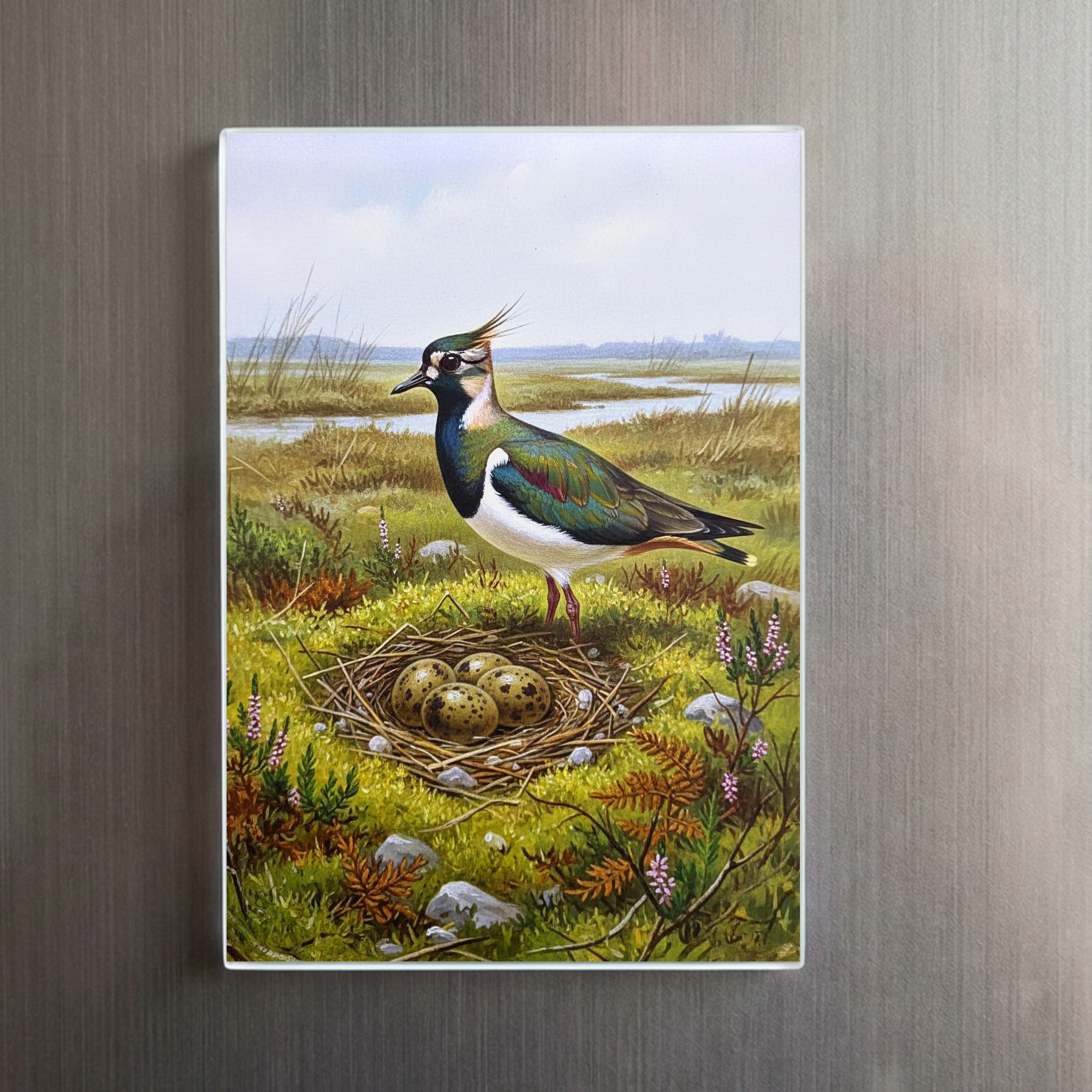 raxxa Glas-Magnet: Kiebitz mit Nest - europäischer Vogel – Bild 2