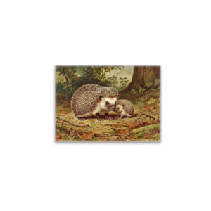 raxxa Glas-Magnet: Igel mit Jungtier