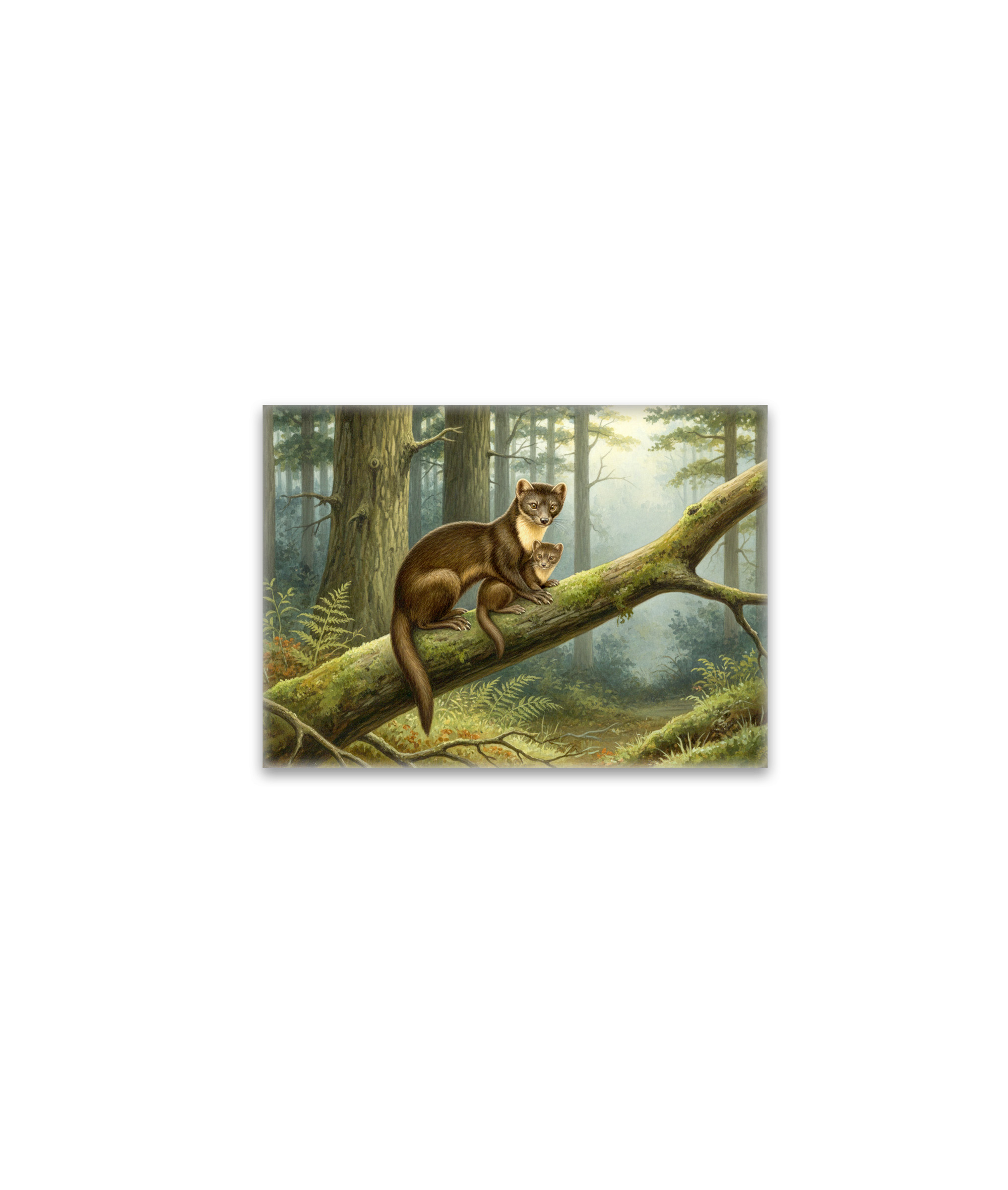 raxxa Glas-Magnet: Baummarder mit Jungtier
