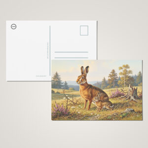 raxxa Postkarte: Feldhase mit Jungtier