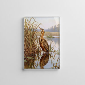 raxxa Glas-Magnet: Rohrdommel - europäischer Vogel