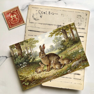 raxxa Postkarte: Wildkaninchen mit Jungtieren