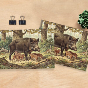 raxxa Postkarte: Wildschwein mit Jungtier