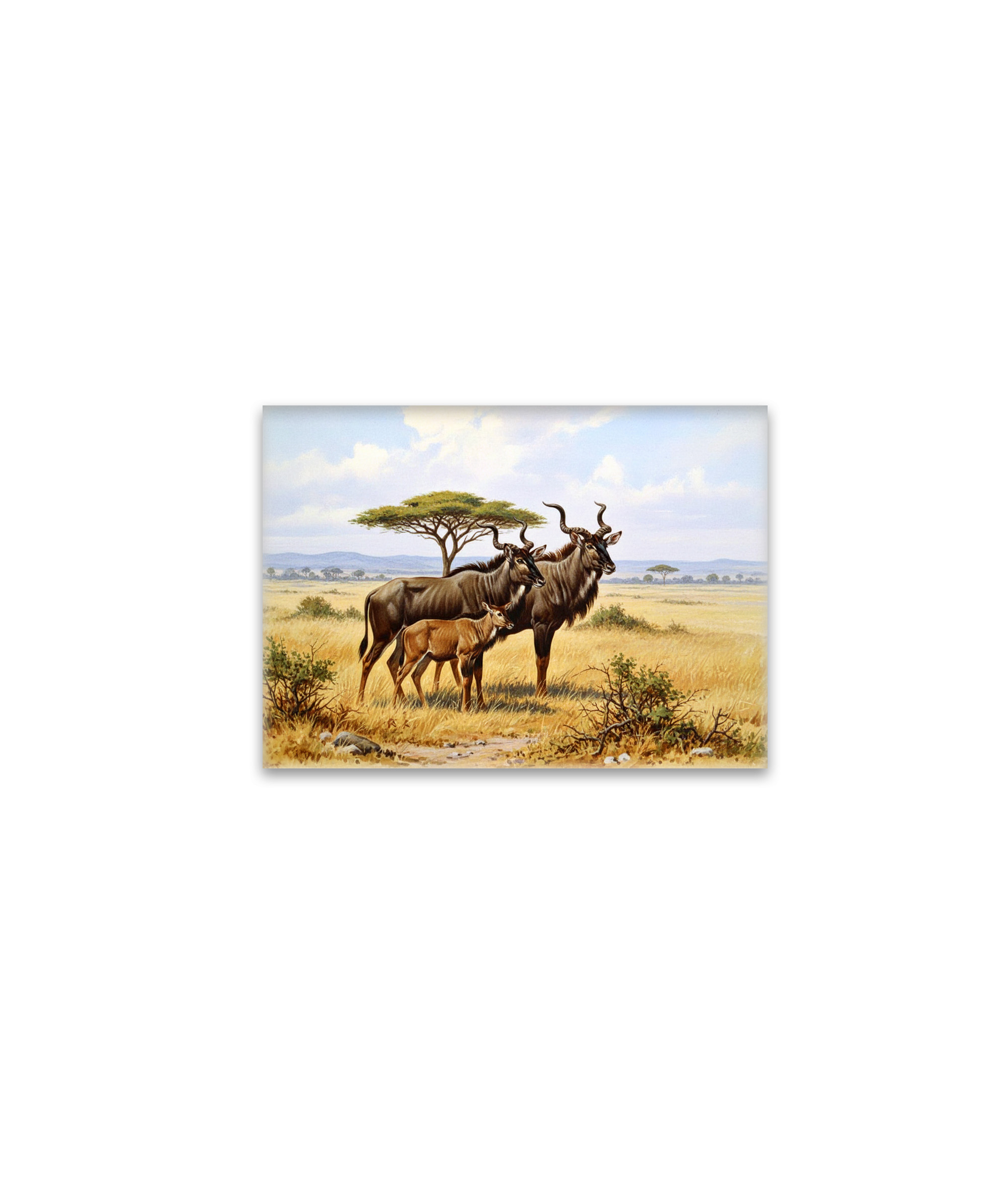 raxxa Glas-Magnet: Kudu Antilopen in Afrika