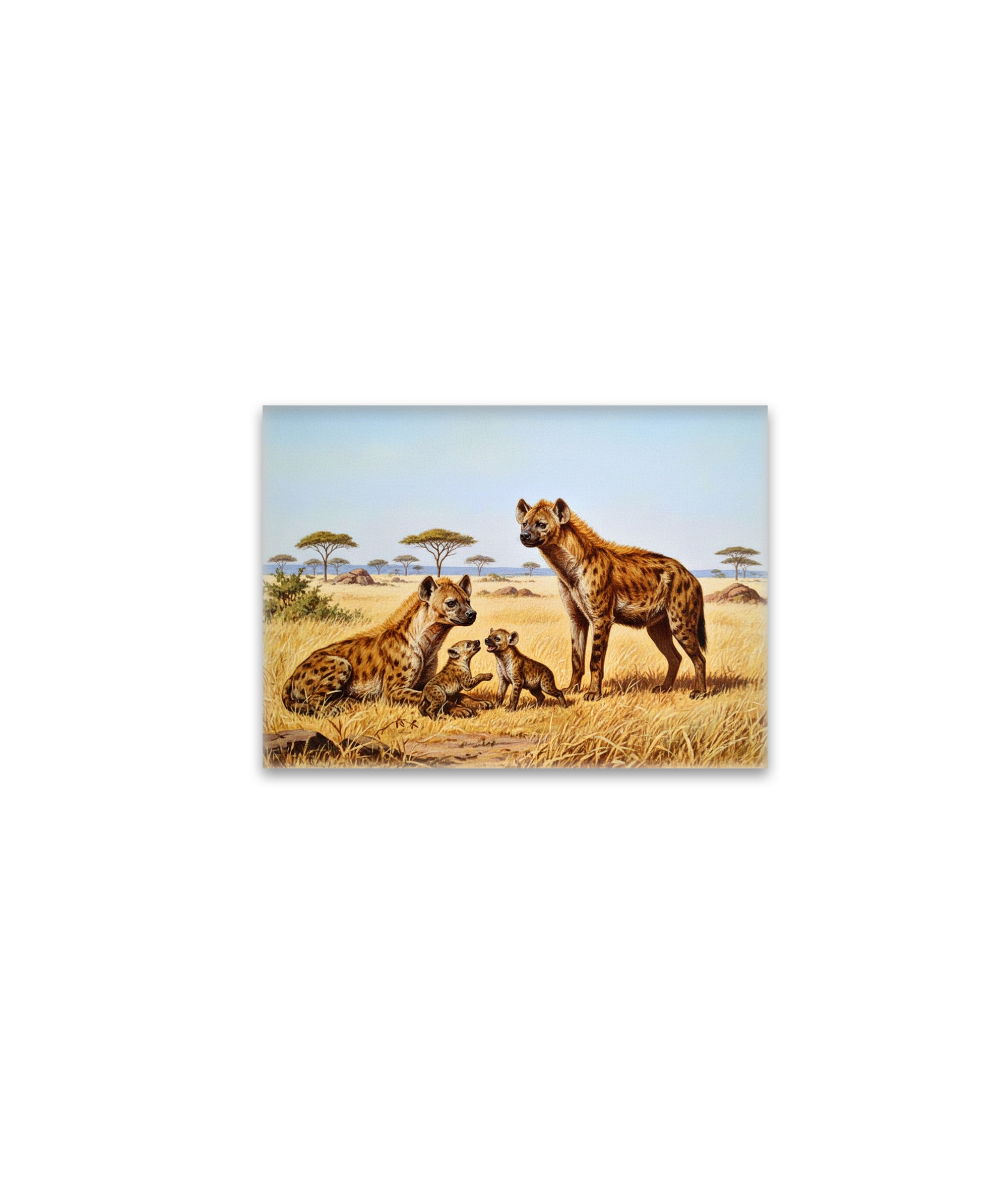 raxxa Glas-Magnet: Hyänen mit Jungtieren in Afrika