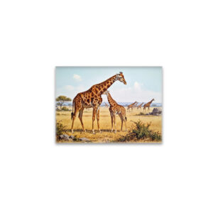 raxxa Glas-Magnet: Giraffen in Afrika mit Jungtier