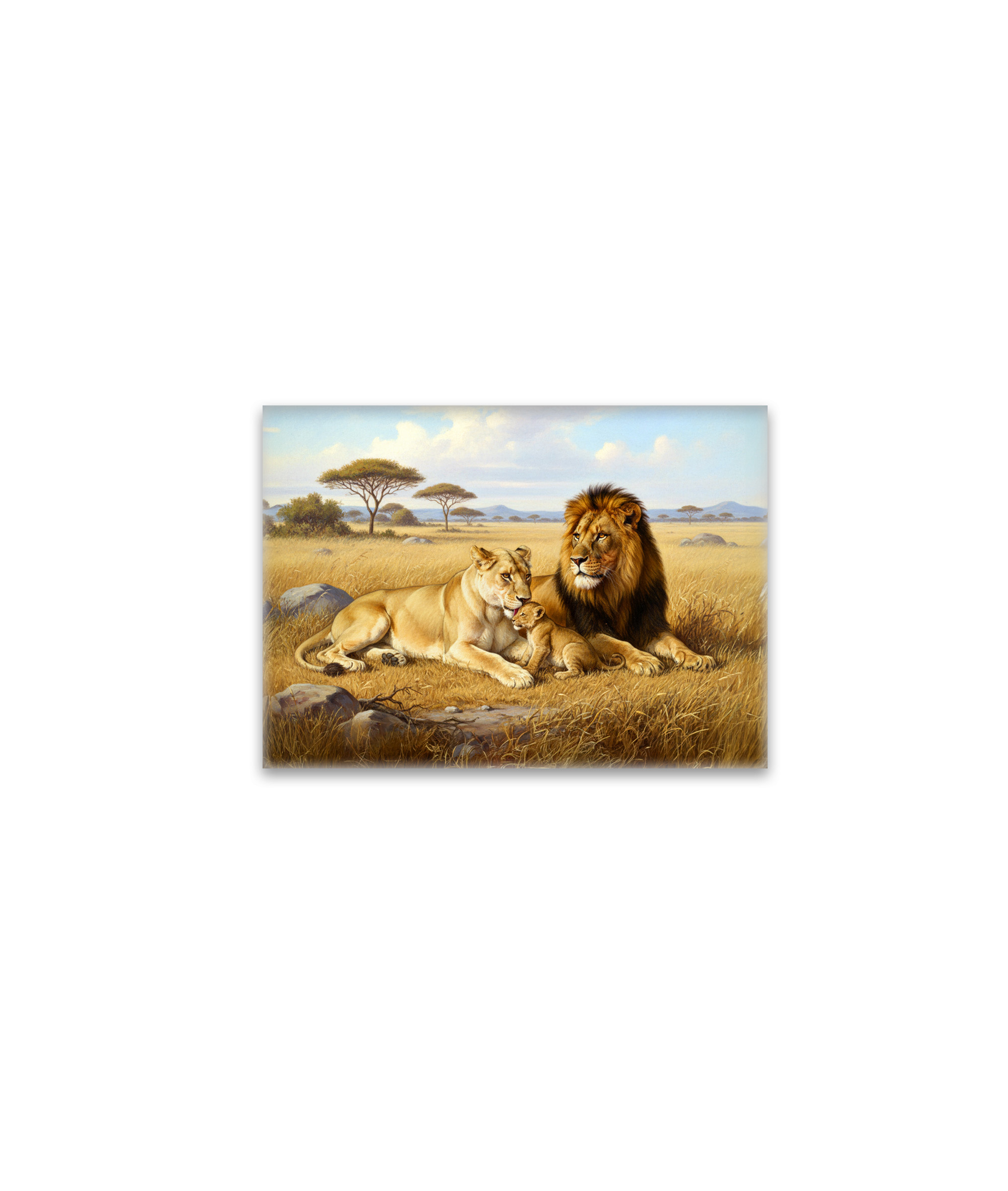 raxxa Glas-Magnet: Löwenfamilie in Afrika