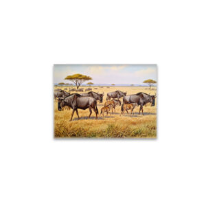 raxxa Glas-Magnet: Eine Herde Gnus in Afrika mit Jungtieren