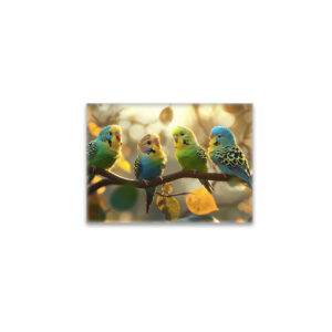 raxxa Glas-Magnet: Wellensittich Meeting