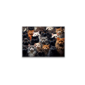 raxxa Glas-Magnet: Gruppenbild mit neugierigen Katzen