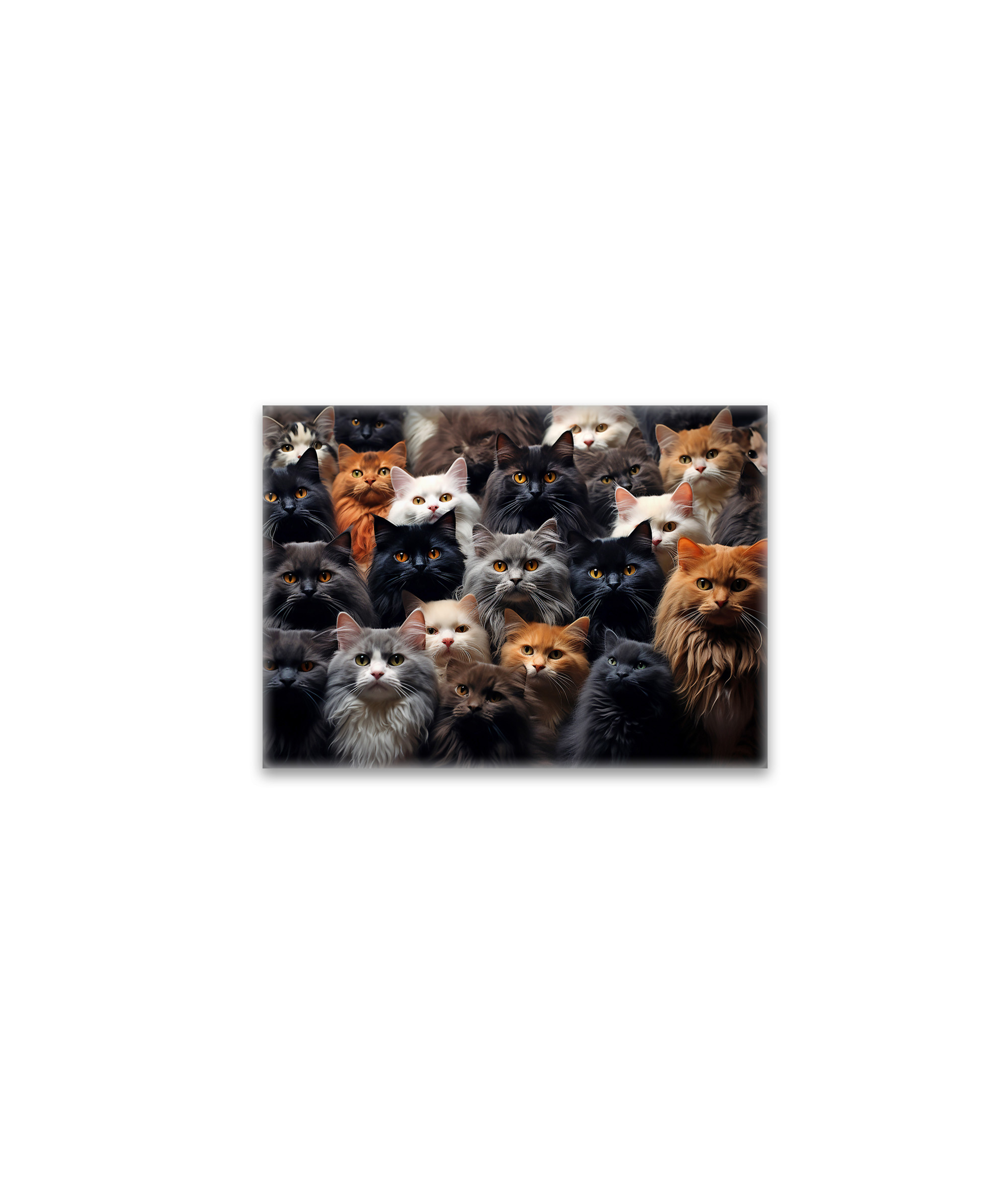 raxxa Glas-Magnet: Gruppenbild mit neugierigen Katzen