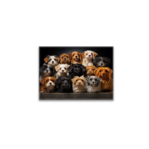 raxxa Glas-Magnet: Gruppenbild mit neugierigen Hunden