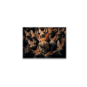 raxxa Glas-Magnet: Gruppenbild mit neugierigen Kaninchen