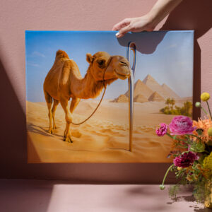 raxxa Canva: Camel Squeezing Through a Needle’s Eye