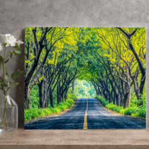 raxxa Canva: Road Through Dense Tree Alley