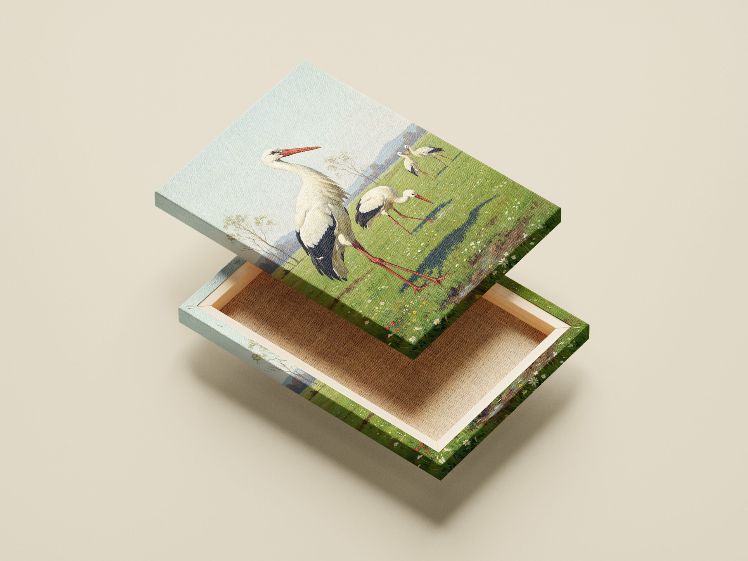 raxxa Canva: Weißstörche auf der Wiese - immagine 2