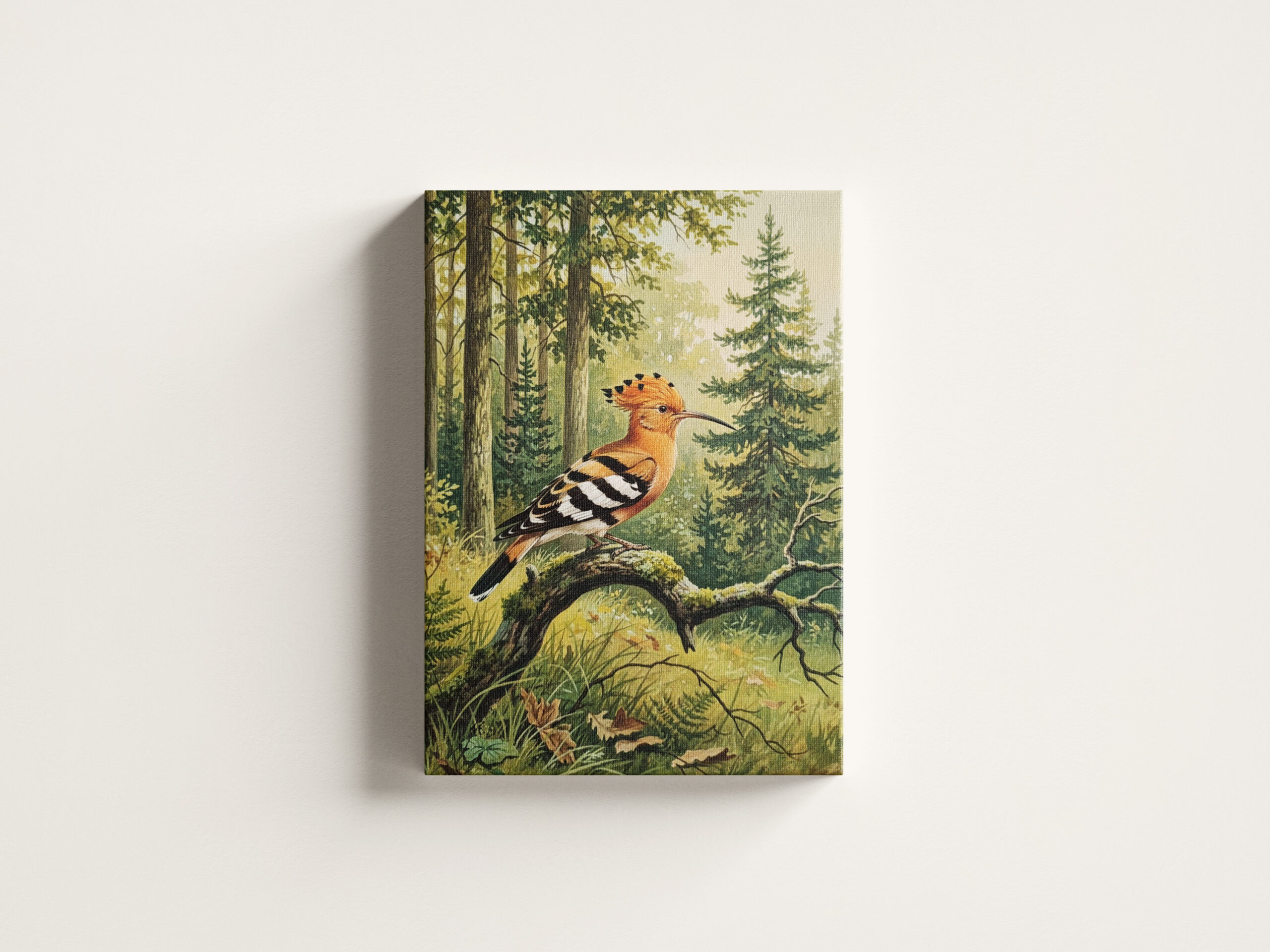 raxxa Canva: Wiedehopf - europäischer Vogel – Bild 3