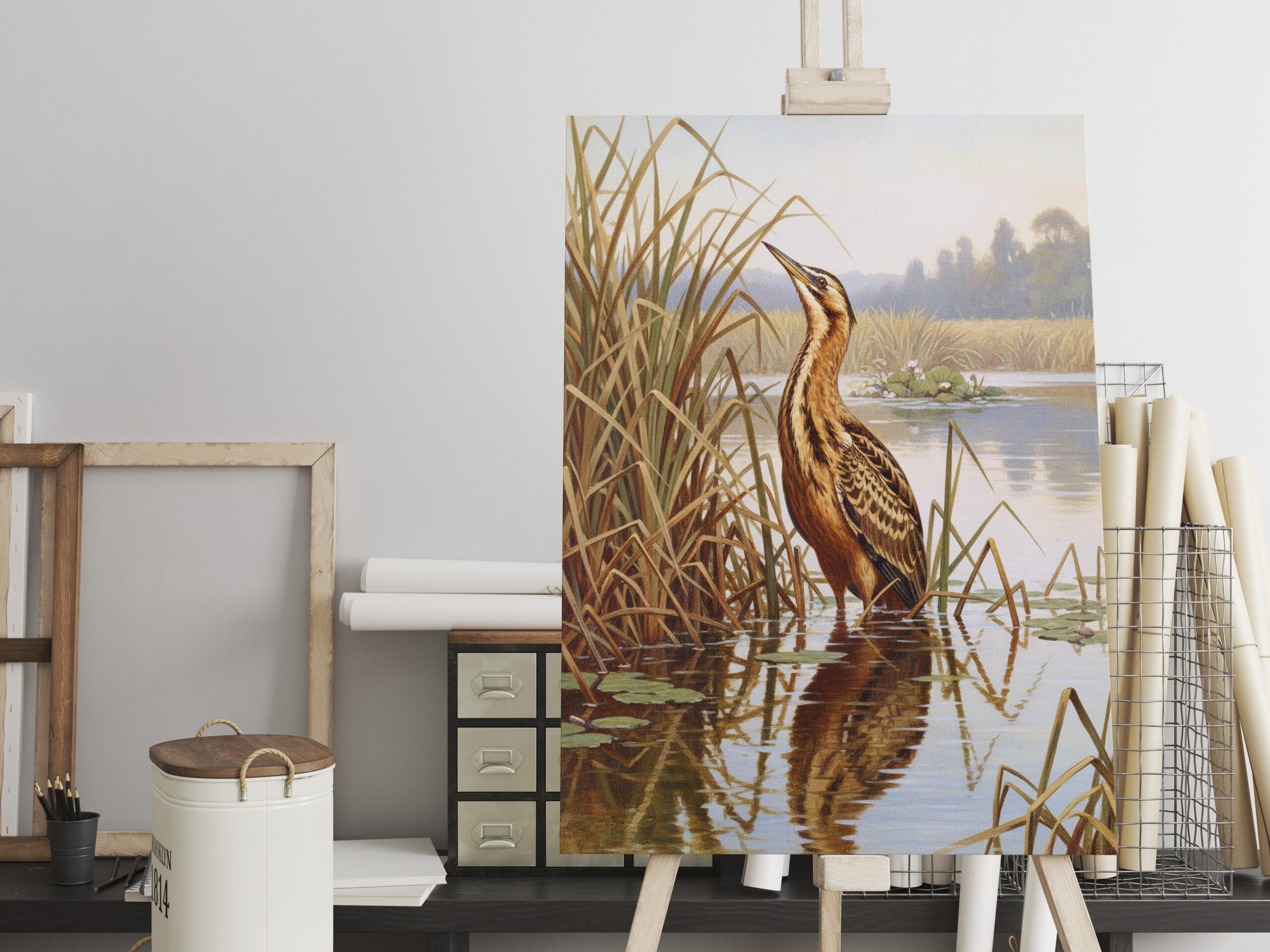 raxxa Canva: Rohrdommel - europäischer Vogel