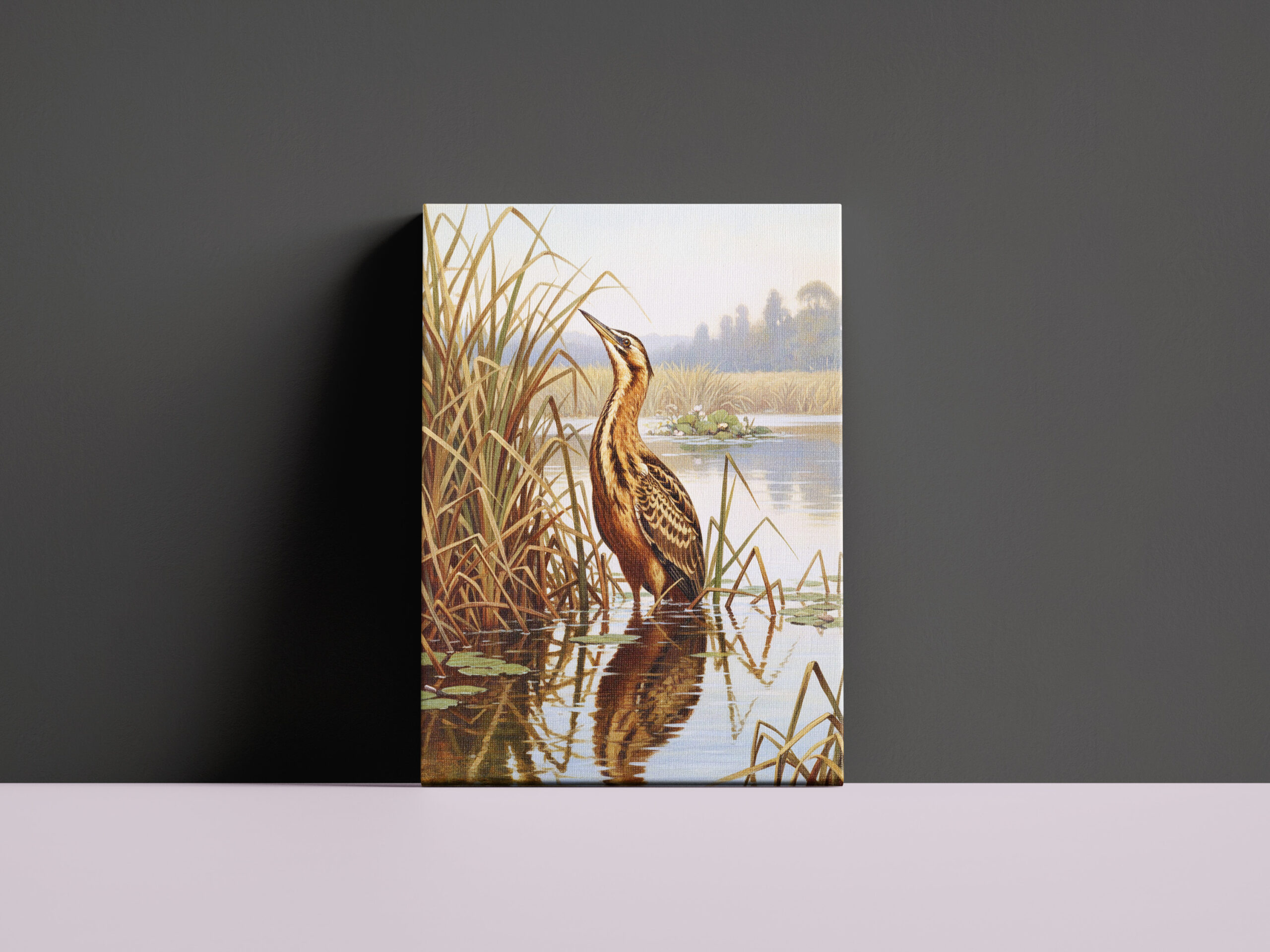 raxxa Canva: Rohrdommel - europäischer Vogel - immagine 2