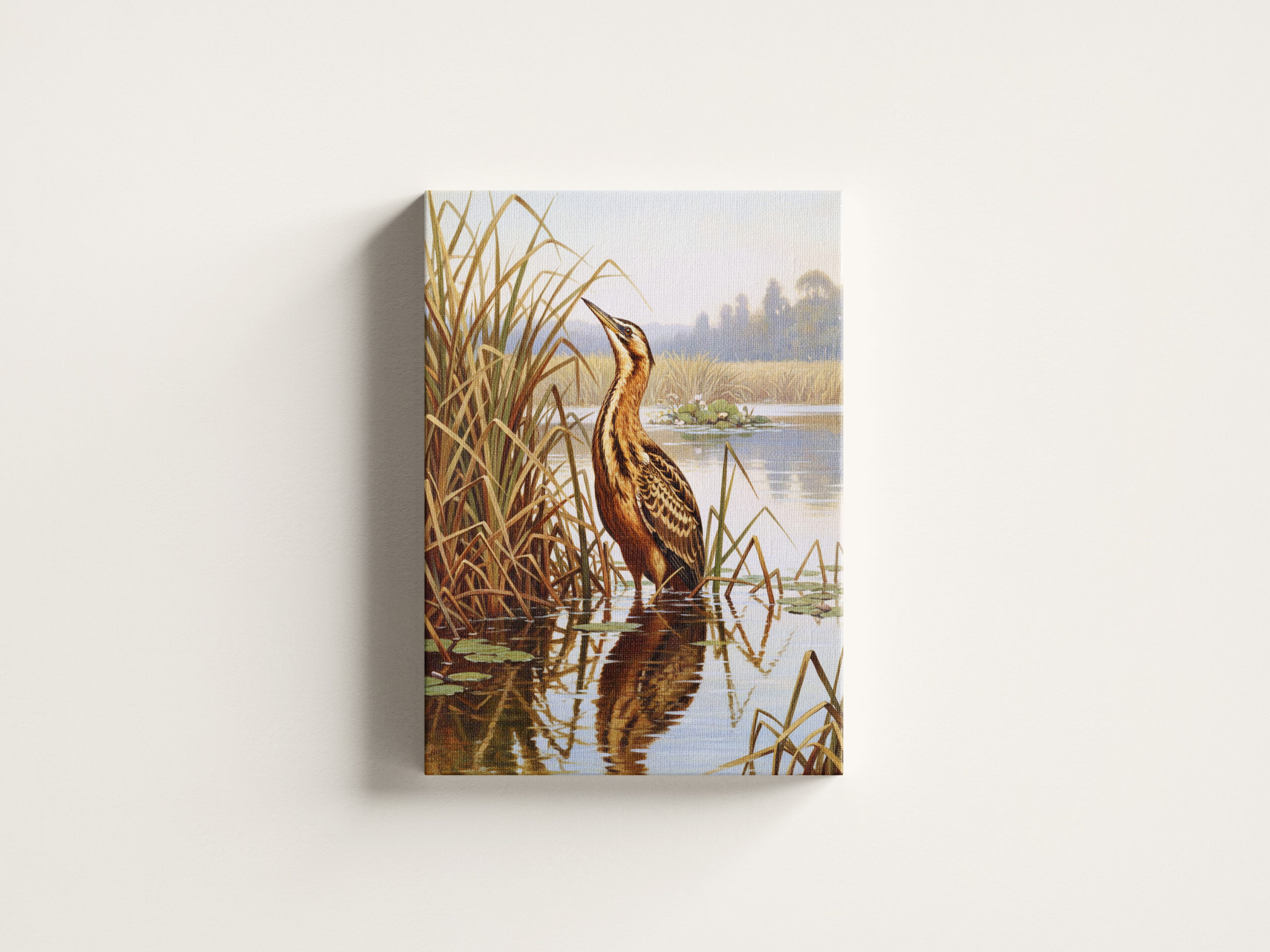 raxxa Canva: Rohrdommel - europäischer Vogel - immagine 3