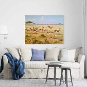 raxxa Canva: Springböcke in Afrika