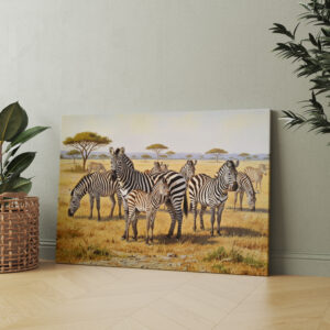raxxa Canva: Zebraherde mit Jungtier in Afrika