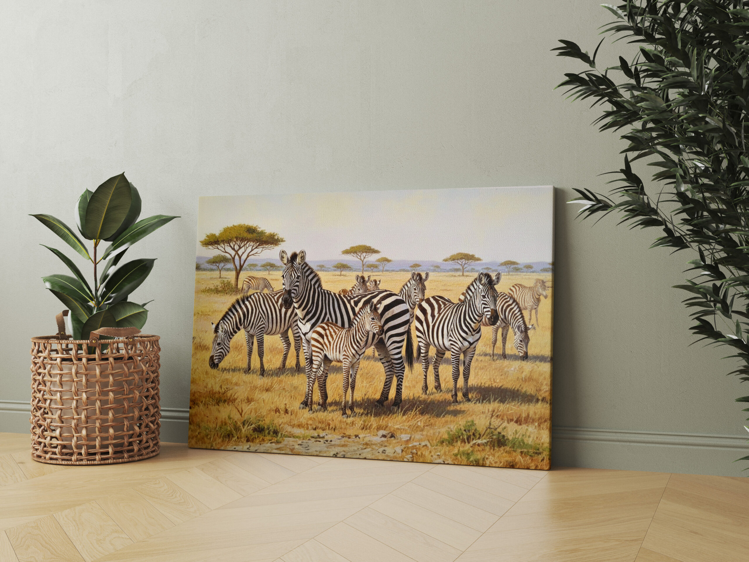 raxxa Canva: Zebraherde mit Jungtier in Afrika