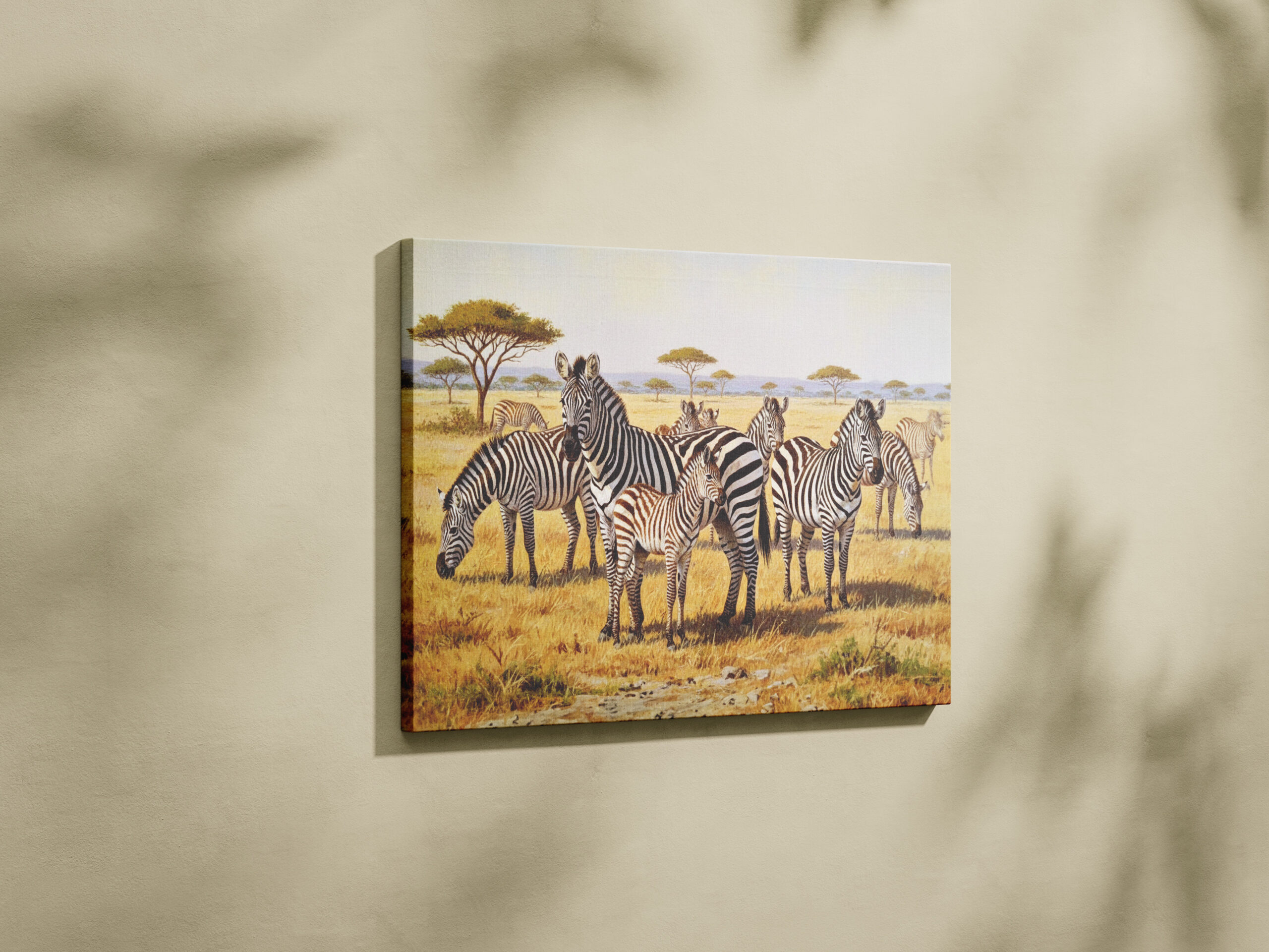 raxxa Canva: Zebraherde mit Jungtier in Afrika - Imagen 2