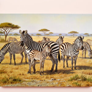 raxxa Premium-Tischset: Zebraherde mit Jungtier in Afrika