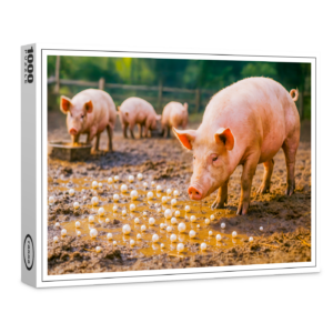 raxxa Premium-Puzzle: Pearls Before Swine in Muddy Pen
