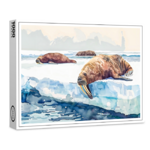 raxxa Premium-Puzzle: Walruses Resting on Arctic Ice
