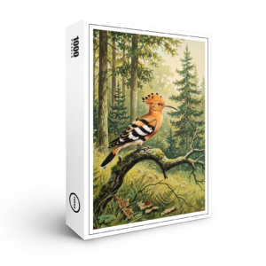 raxxa Premium-Puzzle: Wiedehopf - europäischer Vogel