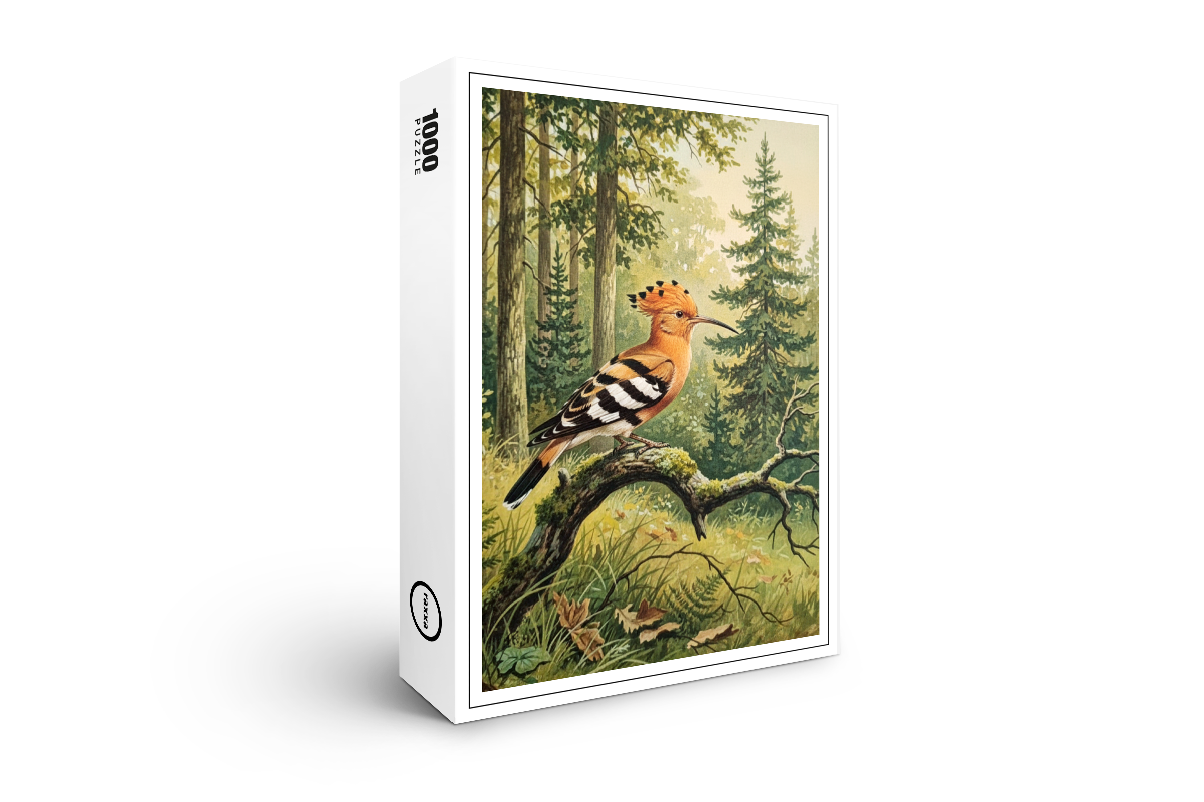 raxxa Premium-Puzzle: Wiedehopf - europäischer Vogel