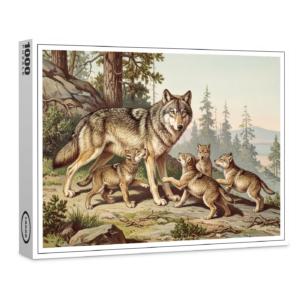 raxxa Premium-Puzzle: Wolf mit Jungtieren