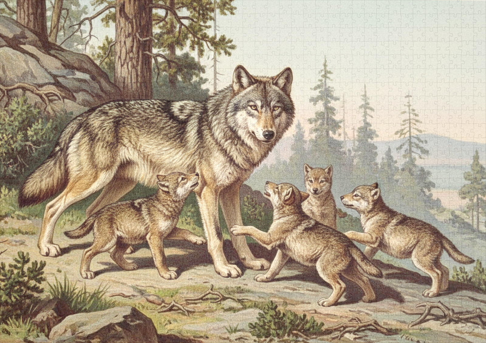 raxxa Premium-Puzzle: Wolf mit Jungtieren – Bild 2