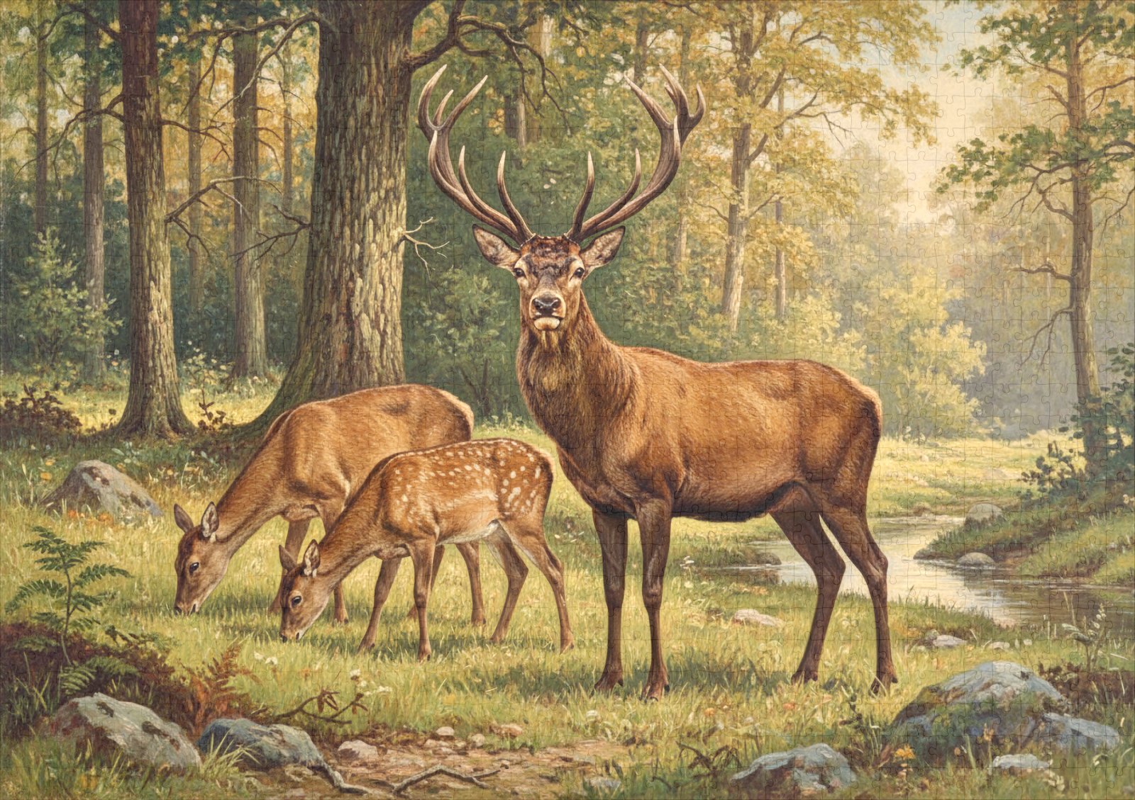 raxxa Premium-Puzzle: Rothirsch mit Familie - immagine 2