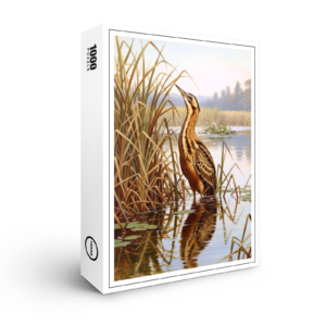 raxxa Premium-Puzzle: Rohrdommel - europäischer Vogel