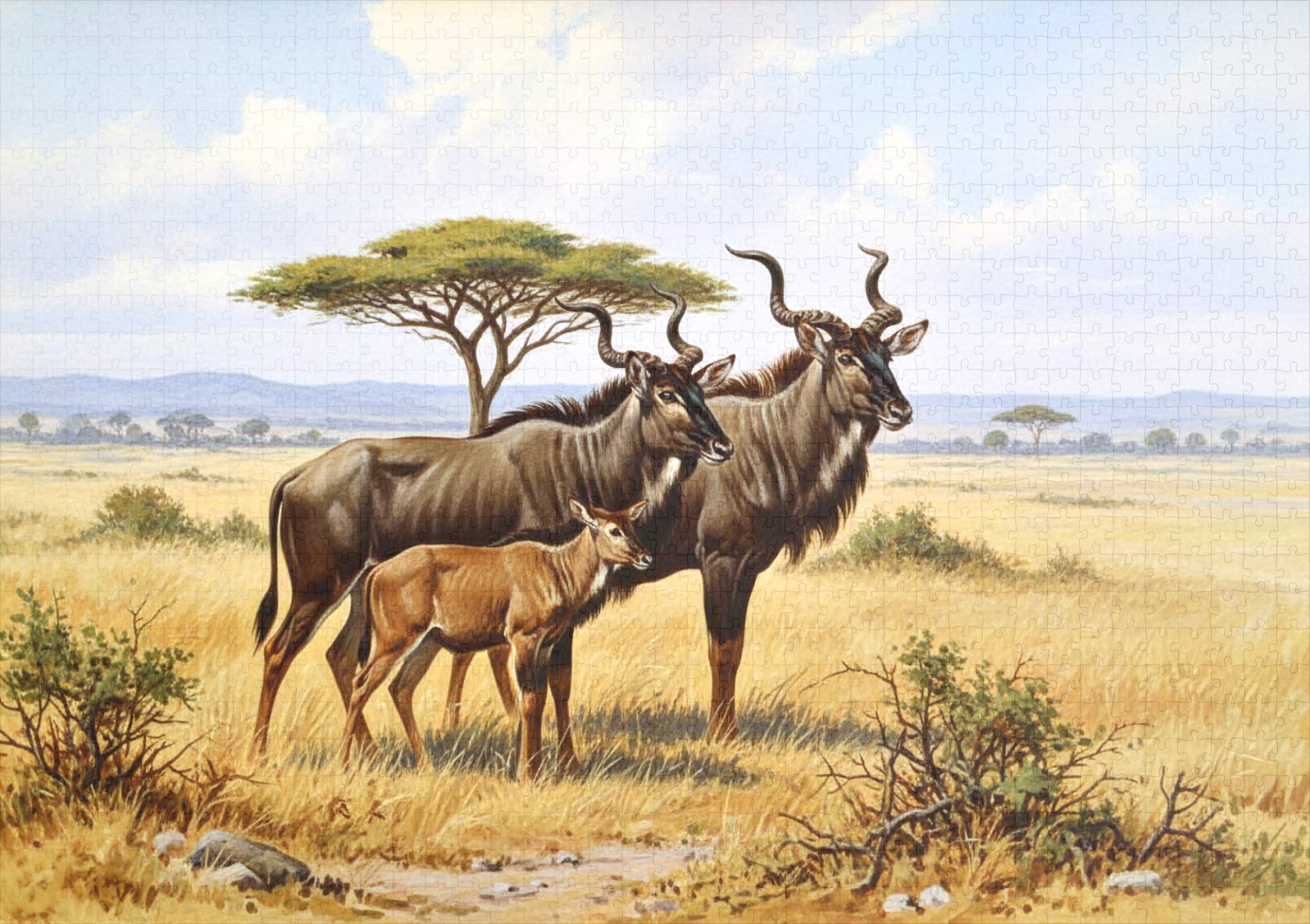 raxxa Premium-Puzzle: Kudu Antilopen in Afrika - immagine 2