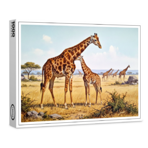 raxxa Premium-Puzzle: Giraffen in Afrika mit Jungtier