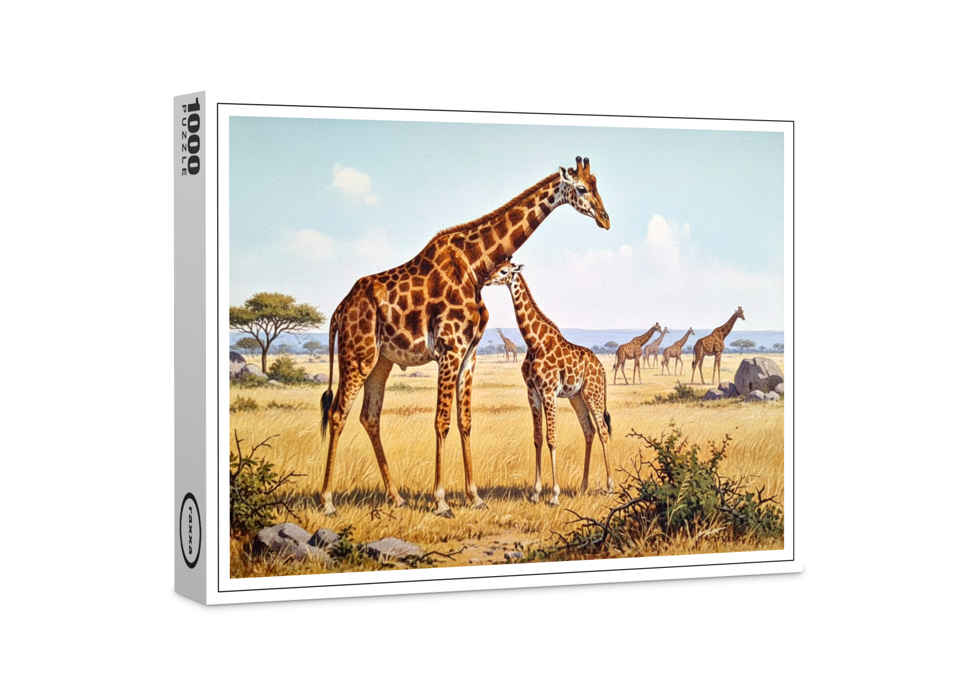 raxxa Premium-Puzzle: Giraffen in Afrika mit Jungtier