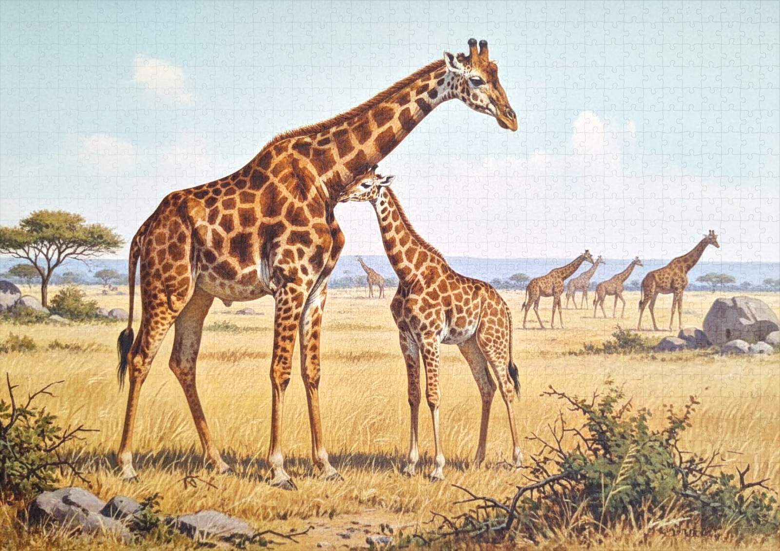 raxxa Premium-Puzzle: Giraffen in Afrika mit Jungtier – Image 2