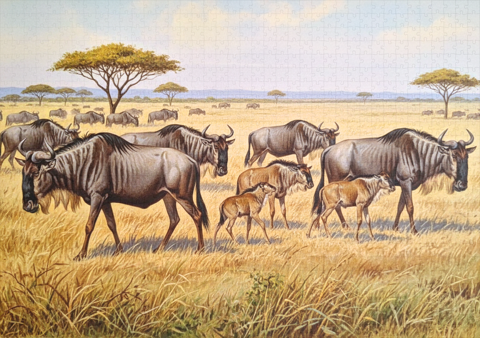 raxxa Premium-Puzzle: Eine Herde Gnus in Afrika mit Jungtieren – Bild 2