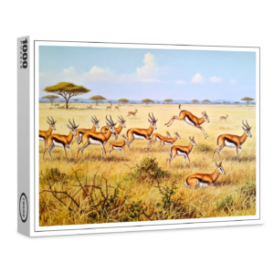 raxxa Premium-Puzzle: Springböcke in Afrika