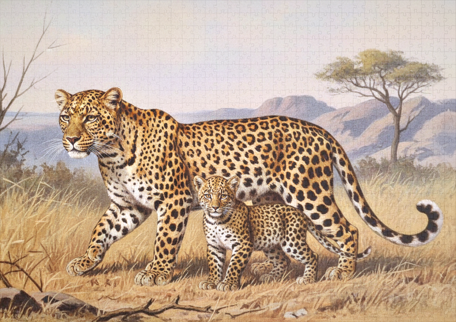 raxxa Premium-Puzzle: Leopard mit Jungtier in Afrika - Image 2