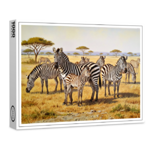 raxxa Premium-Puzzle: Zebraherde mit Jungtier in Afrika